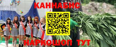 индика Бердск