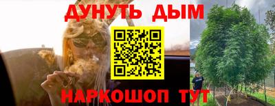 индика Бердск